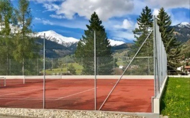 Disentiserhof Hönig 13673