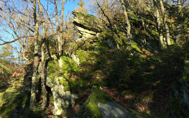 Ferienwohnung-Geschwind