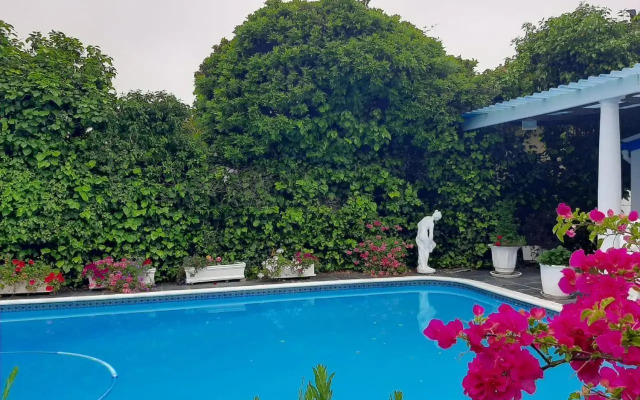 Canberra on Greenwood