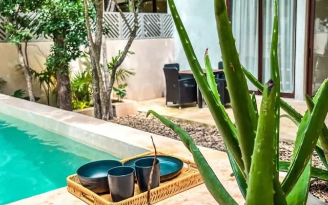 Oasis en la selva con piscina priva
