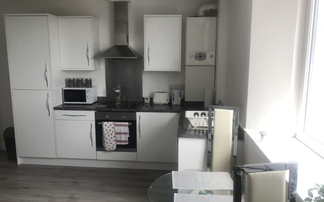 Luxury City Apartment