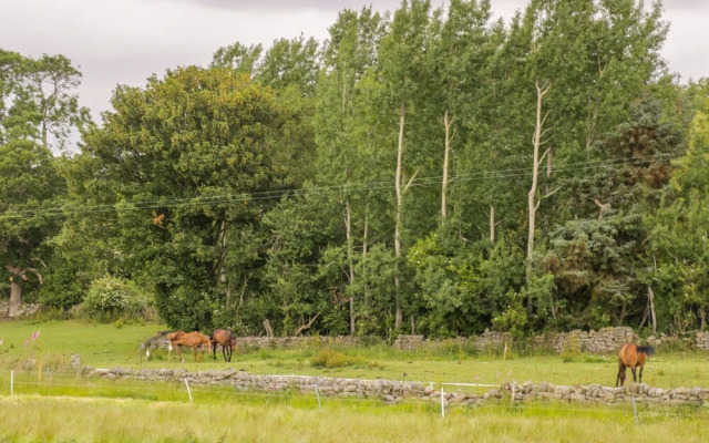 Thirley Beck Lodge
