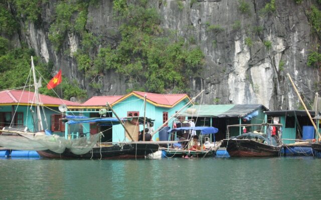 White Dolphin Cruise