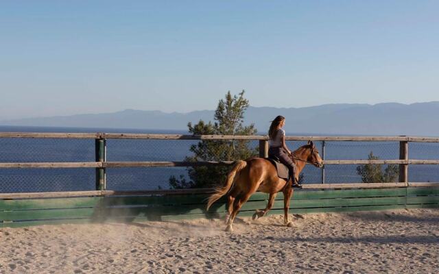 Yayaki Spetses