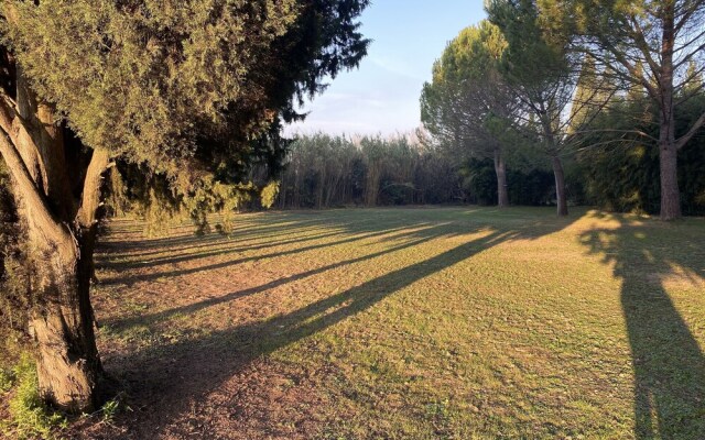 Mas la Pauline Gîtes de charme & roulotte