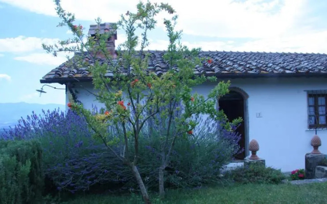La Tuia Vacanze