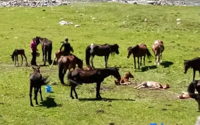 Nalati Wangjingyuan Inn