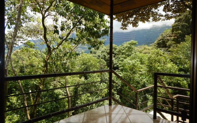 Arbol Verde Villas