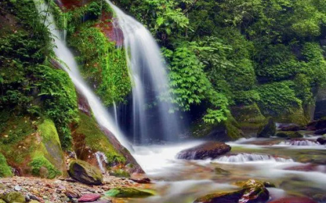 Fanjingshan weijianjingqi homestay