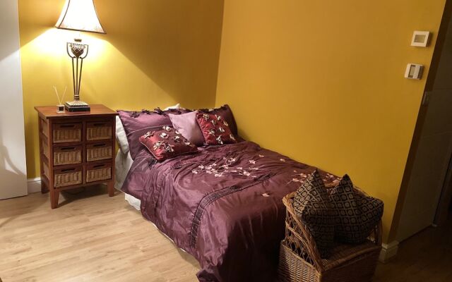 Immaculate Studio Apartment in North London