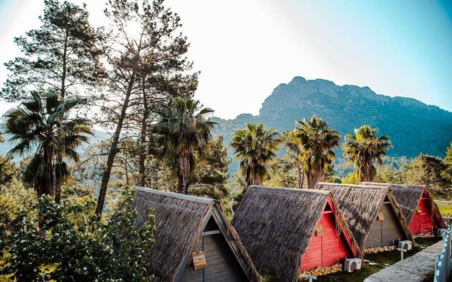 The Hill Glamping