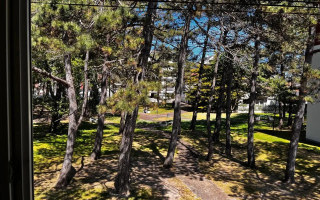 Bruyère Blanche Le Touquet Paris Plage