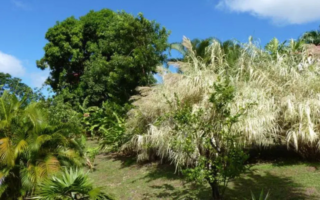 Residence De La Cousiniere