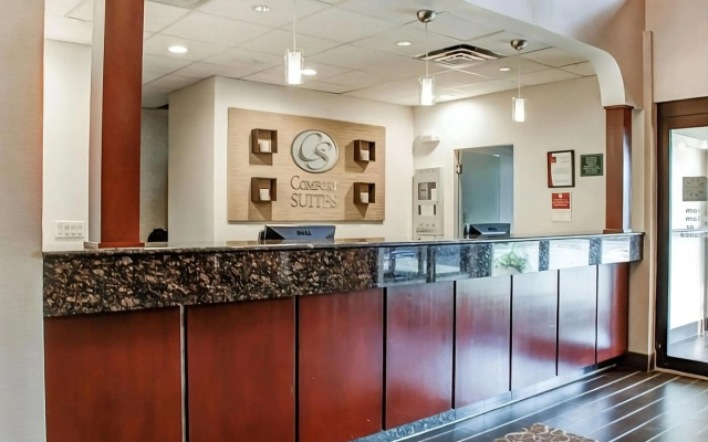 Comfort Suites Lombard - Addison