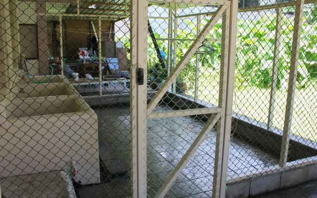 DW Motel Palau