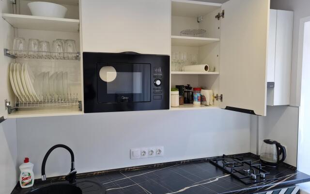 Nice Apartments on Pushkinskaya street 235
