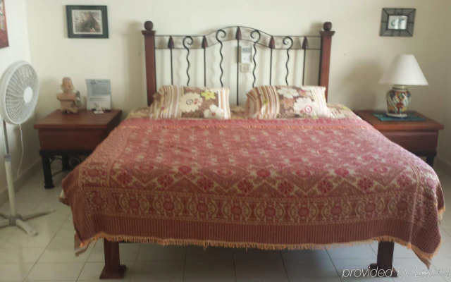 Beachouse Dive Hostel Cozumel