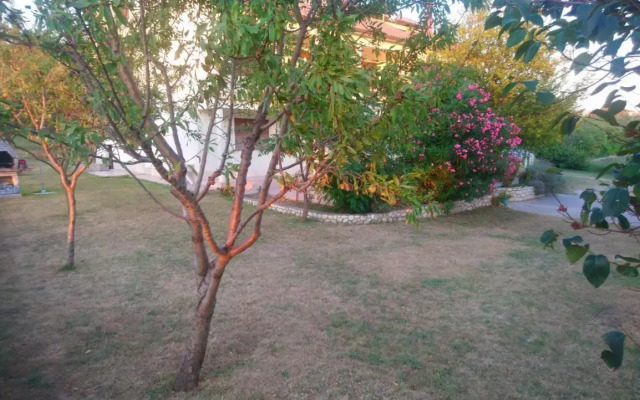 Apartment Vidas