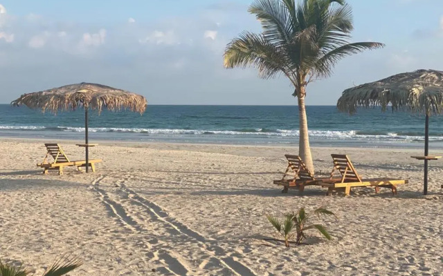Segal Salalah-Forest Island-Hawana