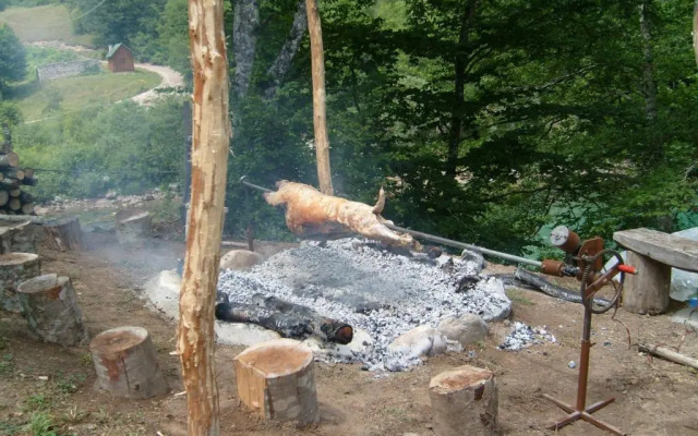 Country house Tara Orasac