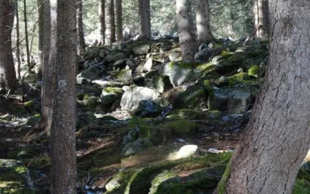 Ferienwohnung Webhofer