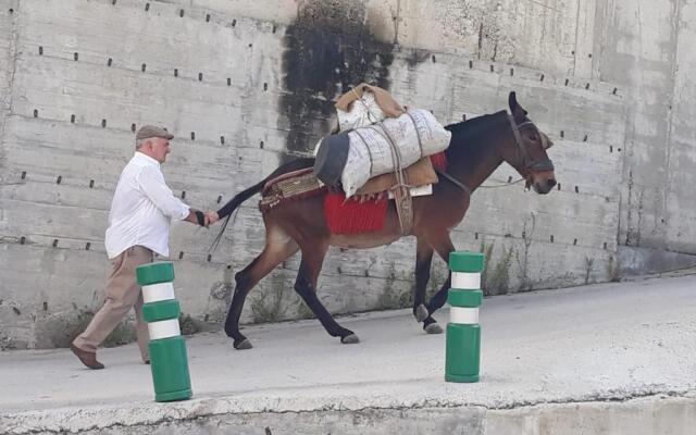 Guesthouse La Tienda Cómpeta 21b