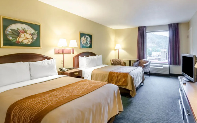 Comfort Inn & Suites