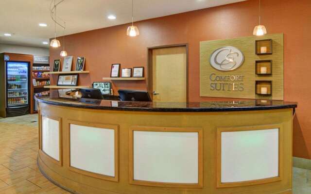 Comfort Suites Lindale - Tyler North