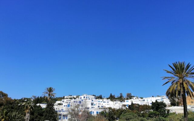 SIDI BOU SAID - Heart of the Village