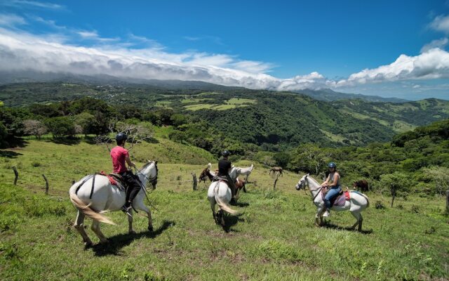 Nangú Glamping Experience