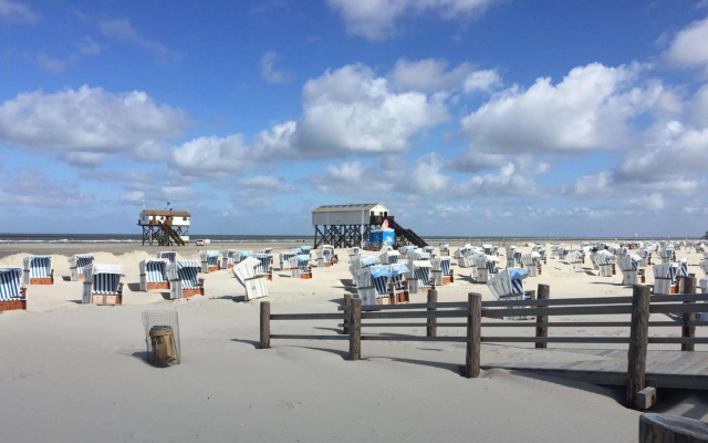 Eidernest