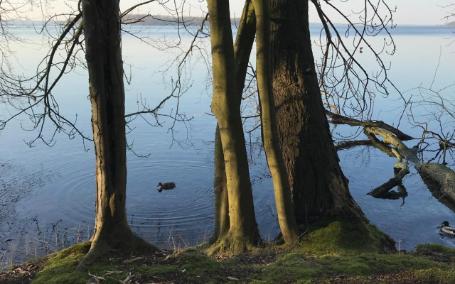 Raben Steinfeld Forststraße 3 Residenzpark