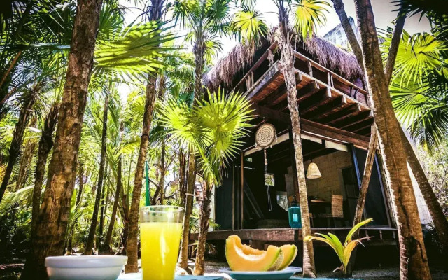 Tulum Vida Silvestre Cabañas