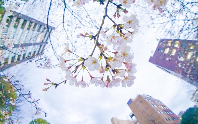 Henn na Hotel Tokyo Ginza