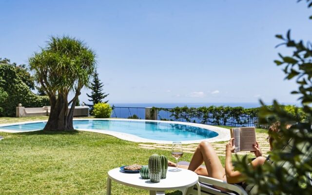 Vila Eucalipto by An Island Apart