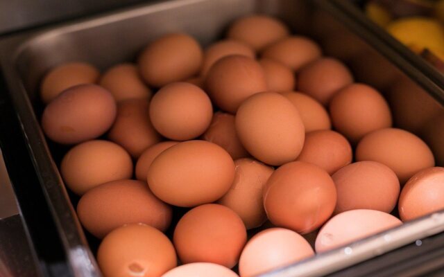 ibis Hangzhou West Lake Qingchun Rd