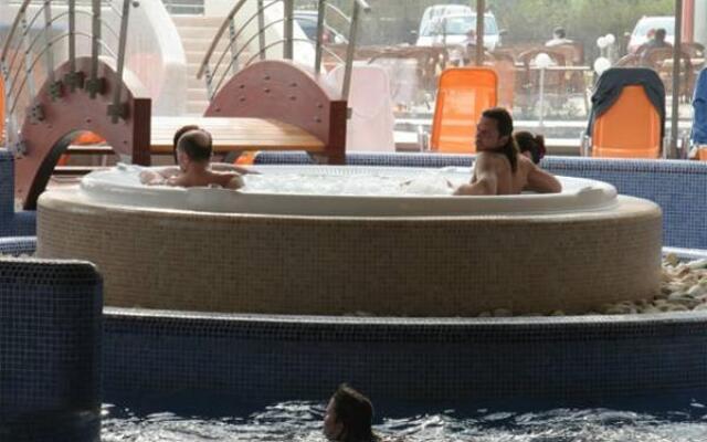 Flamingo Wellness