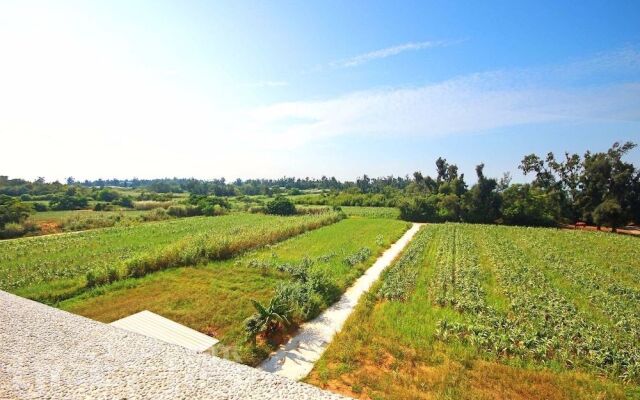 The heart of the sea