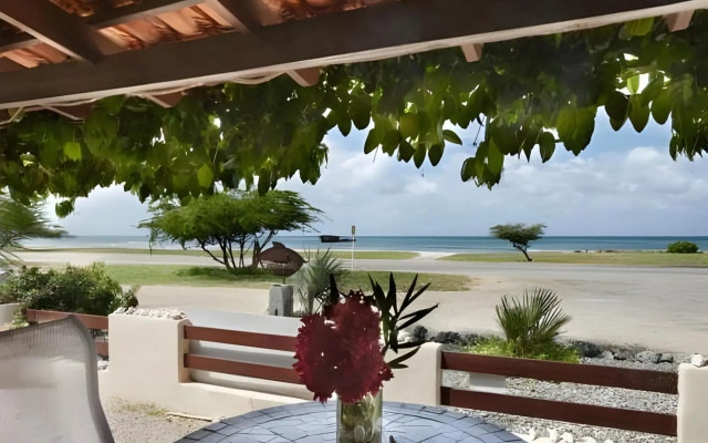 Aruba Studios & Villa Tibushi