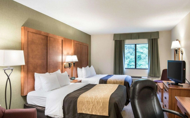 Comfort Inn & Suites LaVale - Cumberland