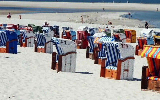 "beach Bunny" in the House on the Dune