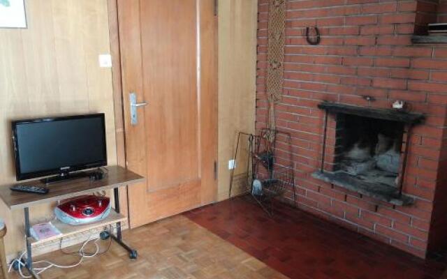 Apartment Steinacher