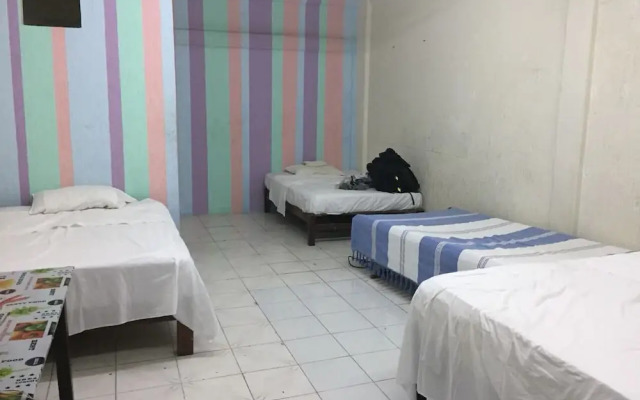 El Coyote Hostal and Surf - Hostel