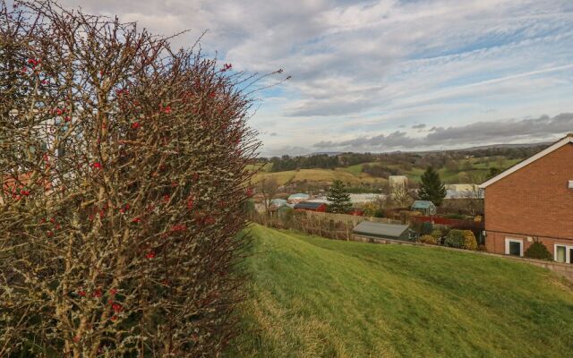 Basford View