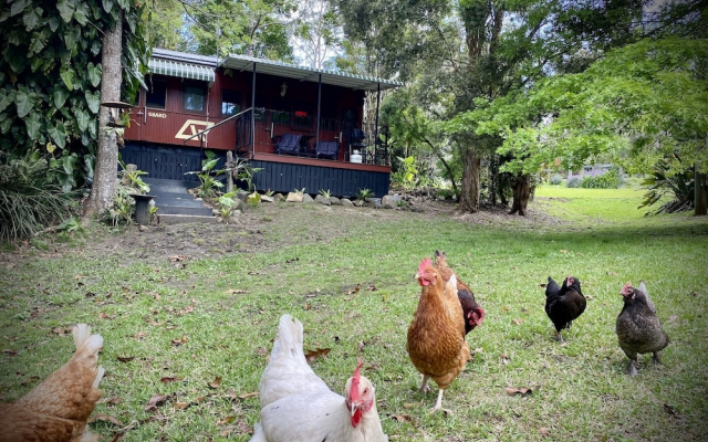 Mt Nebo Railway Carriage and Chalet