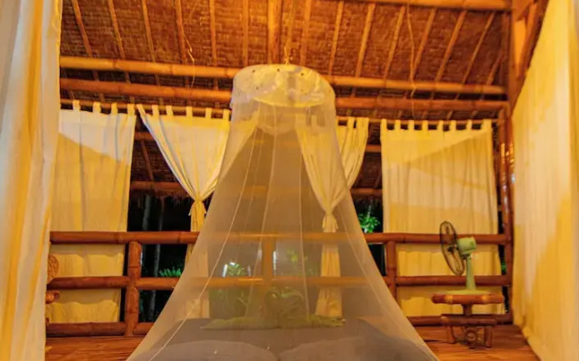 Water To Forest Ecolodge