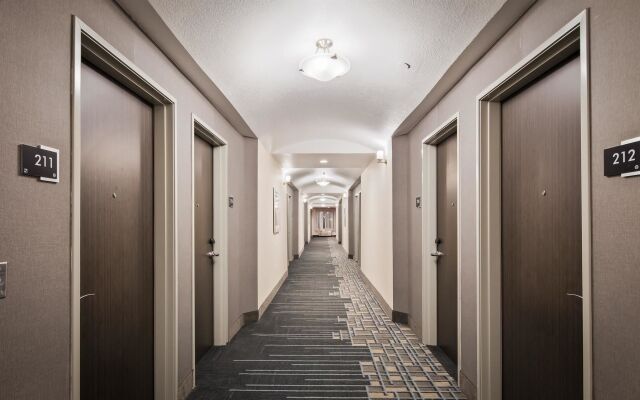 Best Western Plus Buda Austin Inn & Suites