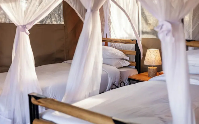 House Of Nature Serengeti