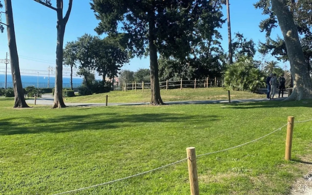 Rosa Homes - The Red