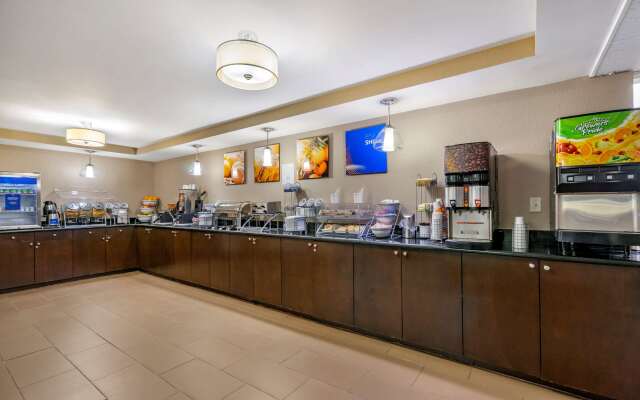 Comfort Inn & Suites St. Pete - Clearwater International Airport